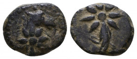 PONTUS, Uncertain mint. Late 1st century BC. Æ
Reference:
Condition: Very Fine

Weight: 1.7 gr
Diameter: 12 mm
