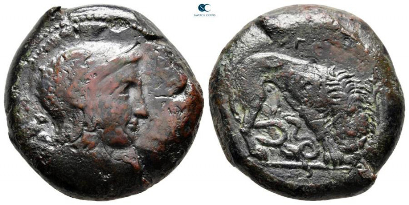 Sicily. Morgantina circa 339-317 BC. 
Hemidrachm Æ

26 mm, 19,44 g

Head of...