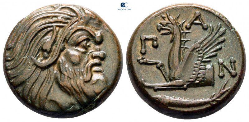 Cimmerian Bosporos. Pantikapaion circa 310-304 BC. 
Bronze Æ

21 mm, 6,97 g
...
