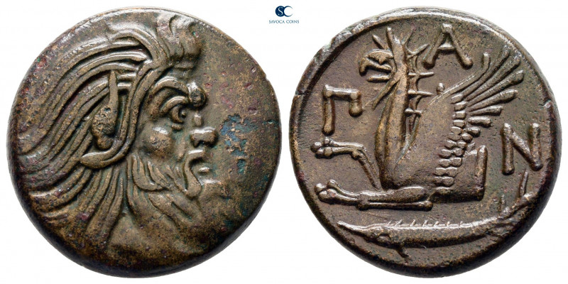 Cimmerian Bosporos. Pantikapaion circa 310-304 BC. 
Bronze Æ

21 mm, 7,80 g
...