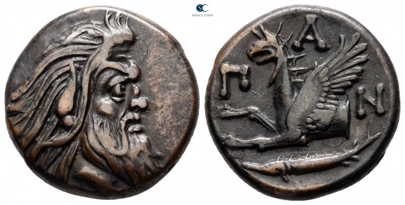 Cimmerian Bosporos. Pantikapaion circa 310-304 BC. 
Bronze Æ

21 mm, 7,89 g
...