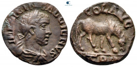 Troas. Alexandreia. Gallienus AD 253-268. Bronze Æ