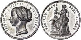 Austria. Austria Franz Joseph I (1848-1916) Medal 1858 for the birth of Rudolf Franz Karl Joseph, Ø 30 mm. Zn. 8.25 g. F.SS