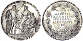 Austria. Austria Franz Joseph I (1848-1916) Medal 1894 Award medal of the agricultural and trade fair in wels. Ø 37 mm. Ag. Hauser 3444 sim. 18.00 g. ...