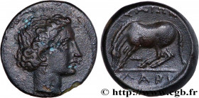 THESSALY - LARISSA
Type : Dichalque 
Date : c. 350 AC. 
Mint name / Town : Larissa, Thessalie 
Metal : copper 
Diameter : 17,5  mm
Orientation dies : ...