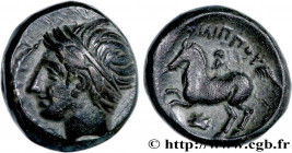MACEDONIA - MACEDONIAN KINGDOM - PHILIP II
Type : Unité 
Date : c. 349-336 AC. 
Mint name / Town : Amphipolis 
Metal : bronze 
Diameter : 18  mm
Orien...