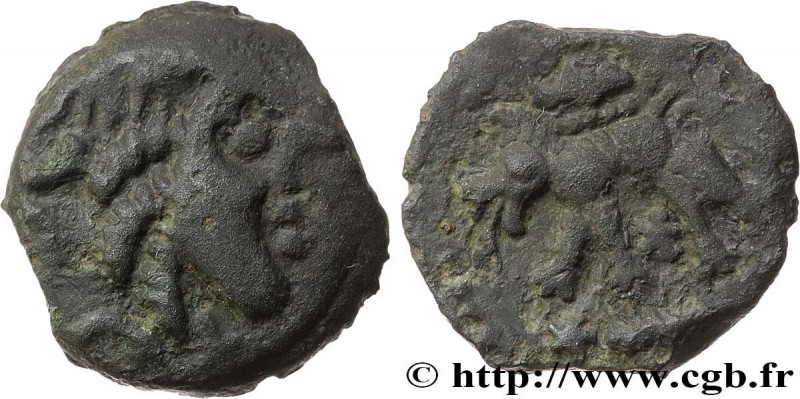 GALLIA - CARNUTES (Beauce area)
Type : Bronze au loup, tête à droite 
Date : c. ...