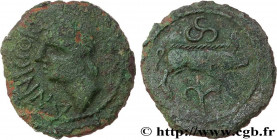 GALLIA - SANTONES / MID-WESTERN, Unspecified
Type : Bronze ANNICCOIOS (quadrans) au sanglier 
Date : c. 40 AC. 
Metal : bronze 
Diameter : 15  mm
Orie...