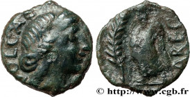 GALLIA - VOLCÆ ARECOMICI (Area of Nîmes)
Type : Bronze au Démos, VOLCAE AREC 
Date : 70-30 ou 49-42 AC. 
Metal : bronze 
Diameter : 14,5  mm
Orientati...