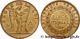 THE CONVENTION
Type : Essai pour le type conventionnel, module de 31 mm 
Date : 1793 
Mint name / Town : Paris 
Metal : bell metal 
Diameter : 31  mm
...