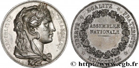 SECOND REPUBLIC
Type : Médaille, Assemblée nationale législative 
Date : (1849) 
Metal : alloy 
Diameter : 50,5  mm
Engraver : GAYRARD 
Weight : 105,1...