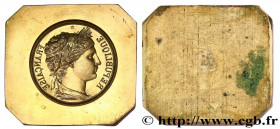 III REPUBLIC
Type : Matrice, Marianne de Jules Clément Chaplain 
Date : n.d. 
Metal : bronze 
Diameter : 73  mm
Engraver : Jules-Clément Chaplain (183...