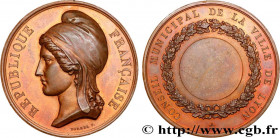 III REPUBLIC
Type : Médaille, Conseil municipal de Lyon 
Date : n.d. 
Metal : bronze 
Diameter : 50,5  mm
Weight : 62,93  g.
Edge : lisse + corne BRON...