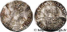 ENGLAND - KINGDOM OF ENGLAND - MARY TUDOR
Type : Groat 
Date : n.d. 
Mint name / Town : Londres 
Metal : silver 
Millesimal fineness : 925  ‰
Diameter...