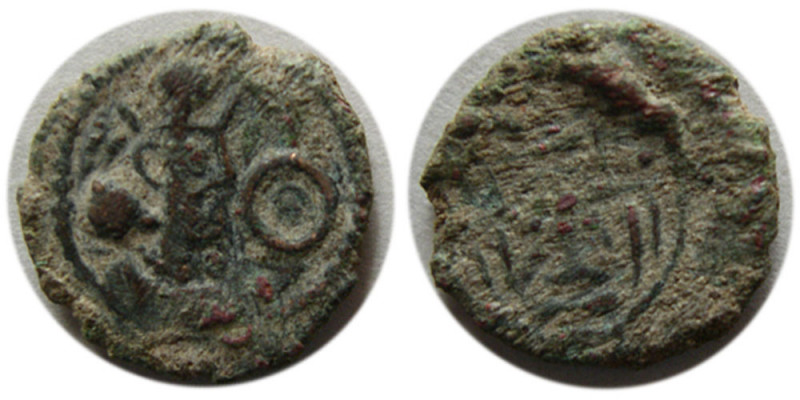 SASANIAN KINGS. Shapur II. 309-379 AD. Æ (1.08 gm; 12 mm). Monogram of two conce...