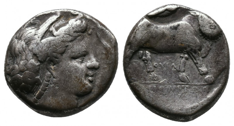 Campania, Neapolis AR Didrachm. AR Didrachm 7.27gr Circa (300 BC.) Av.: Head of ...