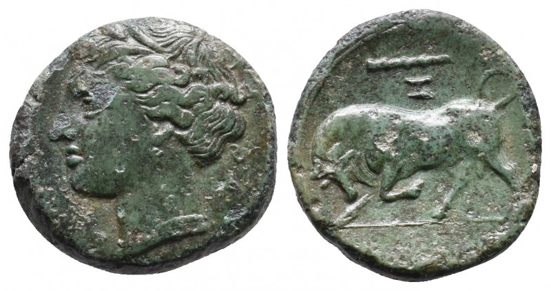 Sicily. Syracuse. Hieron II circa 275-215 BC. Bronze Æ 5,09g. ΣYP[AKOΣIΩN] Wreat...