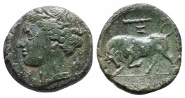 Sicily. Syracuse. Hieron II circa 275-215 BC. Bronze Æ 5,09g. ΣYP[AKOΣIΩN] Wreathed head of Kore left / Bull butting left; club and I above, IE in exe...