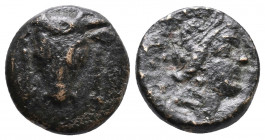 PHOKIS Federal Coinage Elateia, Bronze, late 4th century BC. Æ 4,78gr. Facing bull’s head of a distinctive, “square” look, the sacrificial fillet show...