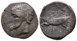 KINGS OF NUMIDIA. Massinissa or Micipsa (203-148 and 148-118 BC, respectively). AE 8,65gr. Obv: Laureate head left. Rev: Horse galloping left; pellet ...