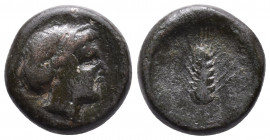 Lucania, Metapontion, c. 425-350 BC. Æ 7,39gr Head of Demeter to right / Grain ear HNItaly 1657. Green patina, near VF