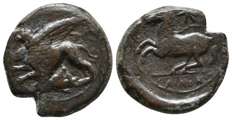 Sicily, 'Kainon' Circa 340-330 BC. AE 8,79gr Griffin springing left, cicada belo...