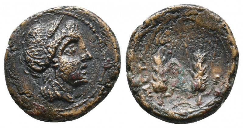 Lucania, Metapontion. Circa 225-200 BC. Æ 4,30gr. Wreathed head of Persephone ri...
