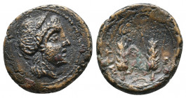 Lucania, Metapontion. Circa 225-200 BC. Æ 4,30gr. Wreathed head of Persephone right / Two grain ears, META to left. SNG ANS 599.