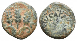Judaea, Herodian Kingdom. Agrippa I. 37-44 C.E. AE prutah 2,09gr Jerusalem mint, struck 41-42 C.E.. BACIΛEΩC AΓPIΠA, umbrella / Three ears of barley, ...