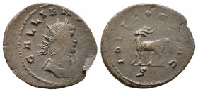 Gallienus (253-268). Antoninianus 3,13gr.. Rome. Obv: GALLIENVS AVG. Radiate and cuirassed bust right. Rev: IOVI CONS AVG / S. Goat standing left. MIR...