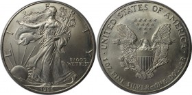 Weltmünzen und Medaillen , Vereinigte Staaten / USA / United States. Eagle. 1 Dollar 1996, Silber. 1 OZ. KM 273. Stempelglanz