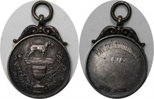 Medaillen und Jetons, Hundesport / Dog sports. "Pretoria Kennel Club". Medaille 1912. (W.J.D.) 26 mm. Vorzüglich