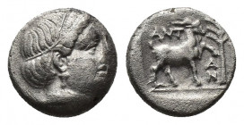 (Silver 2.68g. 14 mm) Troas, Antandros AR Hemidrachm. Circa 420-400 BC. 
Head of Artemis Astyrene right.
Rev: ANT-AN, Goat standing right within inc...