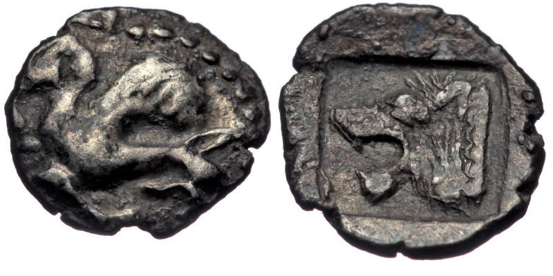(Silver. 0.45g. 9mm) Troas. Assos circa 500 BC. Obol AR
Griffin left
Rev: Lion...
