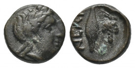 (Bronze. 1.53g. 12mm) Troas, Neandria. Ca. 350-310 B.C. AE 
Laureate head of Apollo right
Rev: NEAN, grain kernel; bunch of grapes on stem to right....