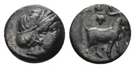 (Silver. 1.05g. 12mm) Troas, Antandros AR Diobol. Circa 400 BC. 
Head of Artemis Astyrene right, band in hair.
Rev: Goat standing right, grape bunch...