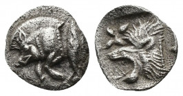 (Silver. 0.37g. 10mm) Mysia, Kyzikos AR Hemiobol. c. 550-500. 
Forepart of boar left,tunny behind
Rev: Head of lion left, all within incuse square. ...