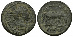 TROAS, Alexandreia AE23 (Bronze,7.79g, 23mm) Caracalla (211-217)
Obv: ANTONINVS PIVS AVG - laureate draped, cuirased bust right
Rev: COL ALEX AVG - ...