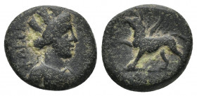 (Bronze.2.69g. 15mm) Ionia. Phokaia circa AD 100-200. AE
ΦΩΚƐΑ/ Turreted and draped bust of Tyche right
Rev: Griffin standing left. 
RPC Online. 97...
