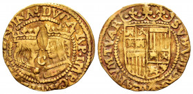 Philip II (1556-1598). Ducat. Kampen. (Vti-7). (Delm-1011). (Tauler-519). Au. 3,35 g. Scarce. VF. Est...400,00. 

Spanish Description: Felipe II (15...