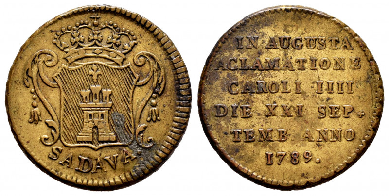 Charles IV (1788-1808). "Proclamation" medal. 1879. Sadava. (H-90, en plata). 5,...