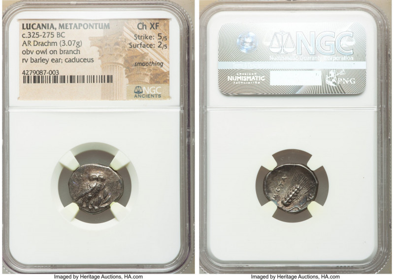 LUCANIA. Metapontum. Ca. 325-275 BC. AR drachm (17mm, 3.07 gm, 2h). NGC Choice X...