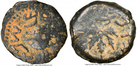 JUDAEA. The Jewish War (AD 66-70). AE prutah (17mm, 11h). NGC Choice Fine, repatinated. Jerusalem, Year 2 (AD 67/8). Year Two (Paleo-Hebrew), amphora ...