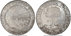 Central American Republic 8 Reales 1837 NG-BA UNC Details (Cleaned) NGC, Nueva Guatemala mint, KM4. Fully detailed devices, gray and saffron toning wi...