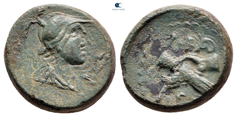 Lucania. Paestum circa 90-44 BC. 
Semis Æ

15 mm, 3,75 g



nearly very f...