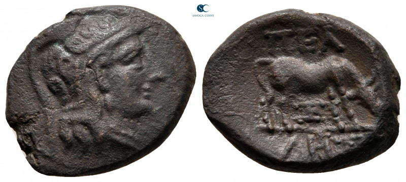 Macedon. Pella circa 187-31 BC. 
Bronze Æ

20 mm, 4,98 g



nearly very f...