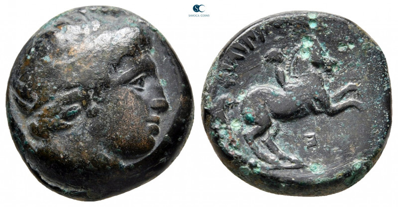 Kings of Macedon. Uncertain mint. Philip II of Macedon 359-336 BC. 
Bronze Æ
...