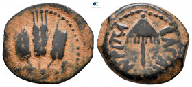 Judaea. Jerusalem. Herodians. Agrippa I AD 37-43. Prutah Æ