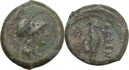 Greek Italy. Samnium, Southern Latium and Northern Campania, Cales. AE 20 mm, c. 265-240 BC. Obv. Helmeted head of Athena left. Rev. Cock standing rig...