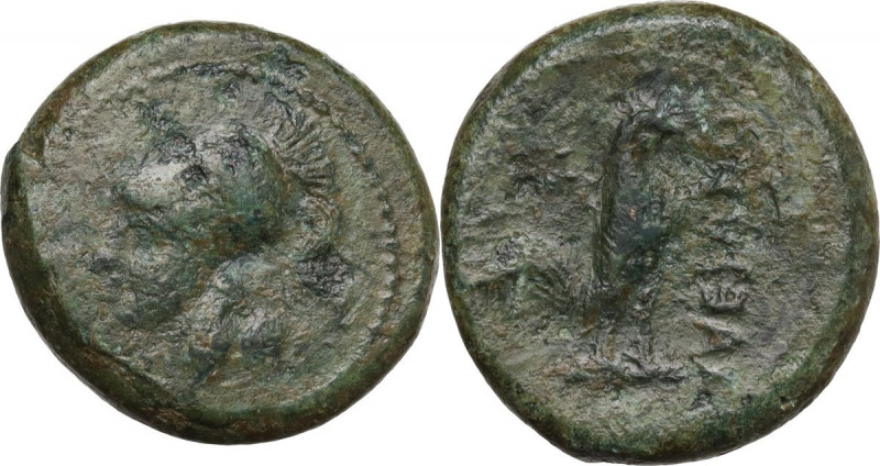 Greek Italy. Samnium, Southern Latium and Northern Campania, Suessa Aurunca. AE ...